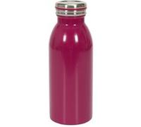 Gourde inox isotherme chaud/froid 450ml framboise Rouge G