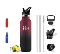 Gourde Isotherme- 500ml- Gourde Paille, Bouteille Isotherme, sans BPA | Gourde Isotherme Enfant, Anti Fuite, Avec une Brosse à Paille, Facile à Transporter, Bouteille d'eau pour École, Camping