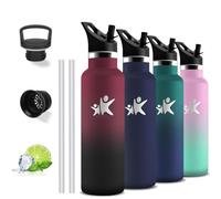 Gourde Isotherme, 750 ml Gourde Paille, Gourde Inox, Anti Fuite, Gourde Metal, Double Isolation, Gourde Acier Inoxydable, Avec Poignée, Gourde sans Bpa, Bouteille d'eau pour Randonnée, Camping, Voyage