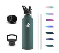 Gourde Isotherme avec Paille, 500ml Bouteille d’Eau Filtrante Sans BPA | Gourde 2 Pailles, Restent une Température Jusqu'à 12 Heures, Anti-Fuite Bouteille pour École le bureau ou le sport