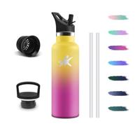 Gourde Isotherme avec Paille, 500ml Bouteille d’Eau Filtrante Sans BPA | Gourde 2 Pailles, Restent une Température Jusqu'à 12 Heures, Anti-Fuite Bouteille pour École le bureau ou le sport