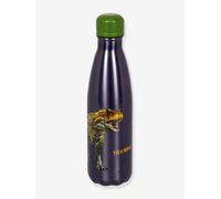 Gourde isotherme garçon T-REX WORLD 500 ml Die Spiegelburg multicolore TU
