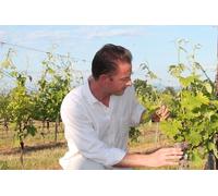 Goût de Provence - Vins et paysages autour d Aix-en-Provence