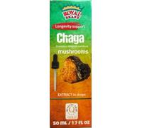 Gouttes de teinture Chaga/Champignon Chaga/Mieux que les capsules de champignons Chaga Haute dose/Gouttes d'extrait liquide / 1,7 FL OZ / 50 ml /