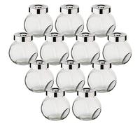 gouveo Set de 12 Pots à épices 100 ML Bonbon en Verre avec Couvercle à Visser argenté - Petits Pots avec Couvercle à Visser pour remplir