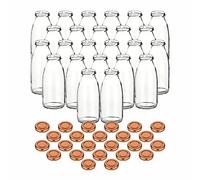 gouveo Set de 24 Bouteilles de jus de Fruits 250 ML avec Couvercle à Visser Bronze - Petite Bouteille en Verre 0,25 l avec Bouchon TO43 - Bouteille Vide à remplir