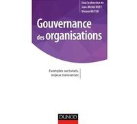 Gouvernance des organisations - Exemples sectoriels, enjeux transverses: Exemples sectoriels, enjeux transverses