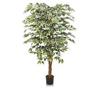 GOVIRAYE Ficus Benjamina Panaché Artificiel 180cm - Arbre Faux avec Feuilles Vert et Blanc, Déco Bureau/Maison Résistant Intempéries