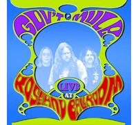 Gov't Mule - Live at The Roseland-7tr