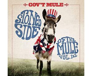 Gov't Mule - Stone Side of the Mule