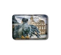 Gozisoci Aimants de réfrigérateur 3D rectangulaires faits à la main pour hôtel de ville de Lyon France en verre de cristal - Souvenirs mignons - Décoration de cuisine