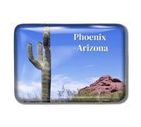 Gozisoci Aimants de réfrigérateur 3D rectangulaires faits à la main pour jardin botanique du désert, cactus, phoenix, Arizona, États-Unis, Amérique, verre cristal, autocollants de réfrigérateur faits