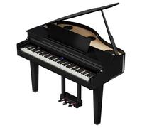 Roland GP-6 Piano Numérique Noir