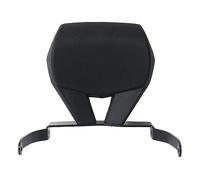 GP Kompozit Dossier compatible avec Forza 250 2018-2020 Sissy Bar Noir