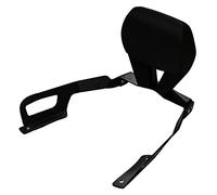 GP Kompozit Dossier Sissy Bar compatible Forza 250 2021-2022