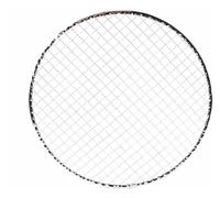 GPDMNBNX, Plateau de Support de Barbecue Polyvalent, 5 pièces, Supports de Gril Ronds jetables en Filet métallique, adaptés aux Restaurants et aux magasins de BBQ(28CM)