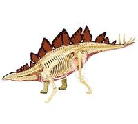 GPDNBIEU, Modèle d'anatomie de dinosaure 4D, modèle anatomique stégosaure, d'enseignement d'orgue animal détachable en 39 parties