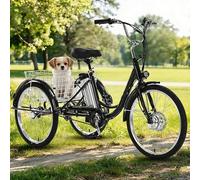 GplHAIN 24 inch Electric Tricycle with Three Wheels for Adults | Load Capacity 150 Kg | Adjustable Height with Shopping Trolley | Three Wheel Cruiser Bike Black