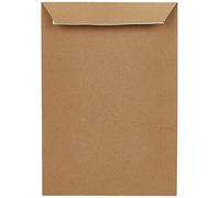 GPV Boîte de 500 pochettes kraft auto-adhésives 90g format B5 176x250mm