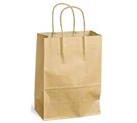 GPV Lot de 20 Sacs à Poignées Torsadées Kraft 100g 40x16x45cm Brun