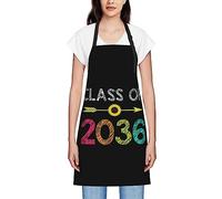 GQWJKSZ Classe De 2036 Tabliers De Graduation Senior Pour Femmes Hommes Tablier À Bavette Imperméable Tabliers De Chef Pour La Cuisine Cuisson Cuisson Bbq Jardinage