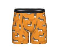 GQWJKSZ Drôle de Bande dessinée âne modèle Hommes Boxer Slip Longue Jambe sous-vêtements Mode Slips pour Hommes Adultes Adolescents