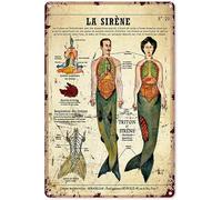 GQWJKSZ Panneau en étain en forme de sirène, âme d'anatomie, décoration murale vintage en métal, cadeau artistique pour fête, chambre à coucher, extérieur, 30,5 x 40,6 cm