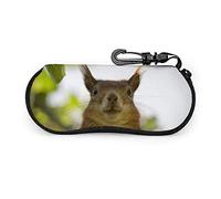 GQWJKSZ Portable écureuil visage assis drôle lunettes de soleil avec boucle de verrouillage sac souple Ultra léger plongée tissu fermeture éclair étui à lunettes