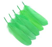 Graargpro 50PCS Plumes décoratives, Plumes d'oie Naturelles de 15 à 20 cm pour Accessoires de vêtements de Mariage et Accessoires, Attrape-rêves et Loisirs créatifs, Vert Pomme
