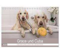Grace und Cuba - Das verrückte Leben der Golden Girls (Tischkalender 2026 DIN A5 quer), CALVENDO Monatskalender: Ein lustiges Jahr mit zwei Golden Retriever Mädchen