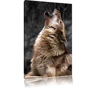 Graceful Loup Hurlant noir / blanc Taille: 60x40 sur toile, XXL énormes Photos complètement encadrée avec civière, impression d'art sur murale avec cadre, moins cher que la peinture ou la peinture à l'huile, pas une affiche ou une bannière,