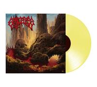 Graceless – Shadowlands – Vinyle 12" Album