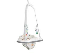 Graco Bumper Jumper, sauteur de porte pour bébés, de 6 à 12 mois environ (max. 12 kg), coloré, Up & Away