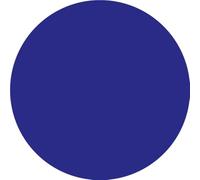 Grad_U - Dream Observer