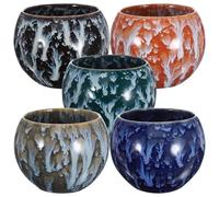 GRADENEVE Coffret 5pcs Tasse Chinoise en Céramique Motifs Délicats, Style Vintage et Utilisation Longue Durée, pour Bureau ou Maison