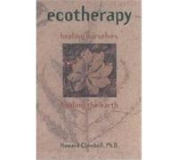 Graduate Theological Education and the Human Experience of Disability Howard John Clinebell (Auteur)