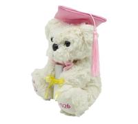 Graduation | 150G Cute Graduation Souvenir For 2026 Academician Graduation Party Kindergarten Primary Middle School High School High School Kids Boys Girls