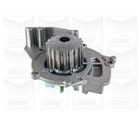 Graf PA861 Pompe à eau