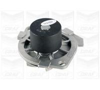 GRAF PA615 Pompe à eau