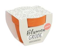 Grafik-Werkstatt Blumengrüße Mélange de Fleurs d'été | Mini Pot en Terre Cuite avec graines | Alles Liebe