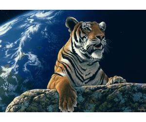 Grafika Puzzles Un Seul à la Maison - 2000 pièces