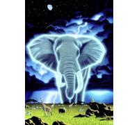 Grafika Schim Schimmel - Spirit of Africa - Pièces