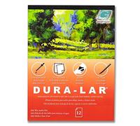Grafix Wet Media .004 Dura-lar Film, 22,9 cm par 30,5 cm, 12 Feuilles