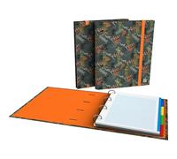 Grafoplás Classeur 4 anneaux avec recharge a4 | Comprend 100 feuilles quadrillées 5 x 5 | Intercalaires et enveloppes avec fermeture | Dos incurvé ergonomique | Carpebook Rex Bits&Bobs Pop Up Design