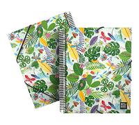 Grafoplás | Classeur à spirale | A4 | 30 pochettes transparentes | Couvercles flexibles en polypropylène | Comprend une enveloppe à fermeture | Bugs, Bits&Bobs Pop Up Design
