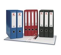 Grafoplas Grafcolor Lot de 2 classeurs à levier Bleu clair 65 mm