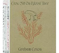 Graham Coxon - Crow SHT on Blood Tree [Import]