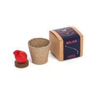 Graine Astral - Nature & Découvertes : Les cultures zodiacales à faire pousser - Bélier