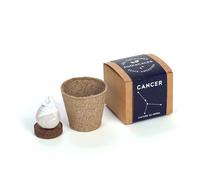 Graine Astral - Nature & Découvertes : Les cultures zodiacales à faire pousser - Cancer