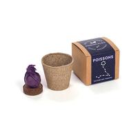 Graine Astral - Nature & Découvertes : Les cultures zodiacales à faire pousser - Poisson